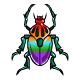 Rainbow Collectable Scarab