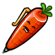 Carrot Chia Pen
