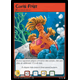 Coral Fruit (TCG)