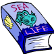 Aisha Sea Life