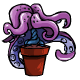 Potted Tentacles