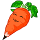 Carrot Chia Pencil